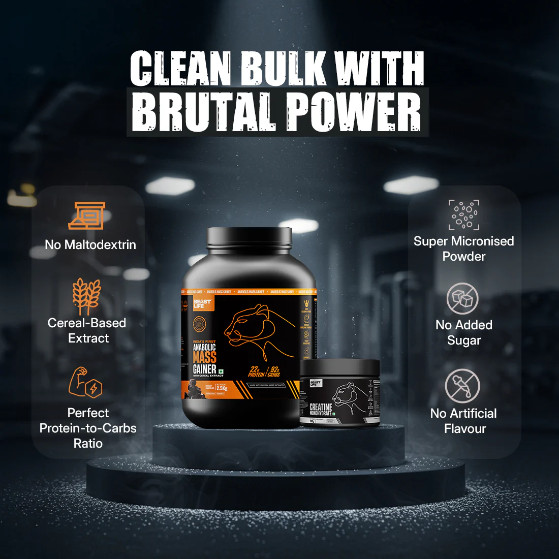 Combo Pack | Anabolic Mass Gainer Belgian Chocolate 2.5 kg + Creatine Monohydrate Unflavoured 100 g - Image 4
