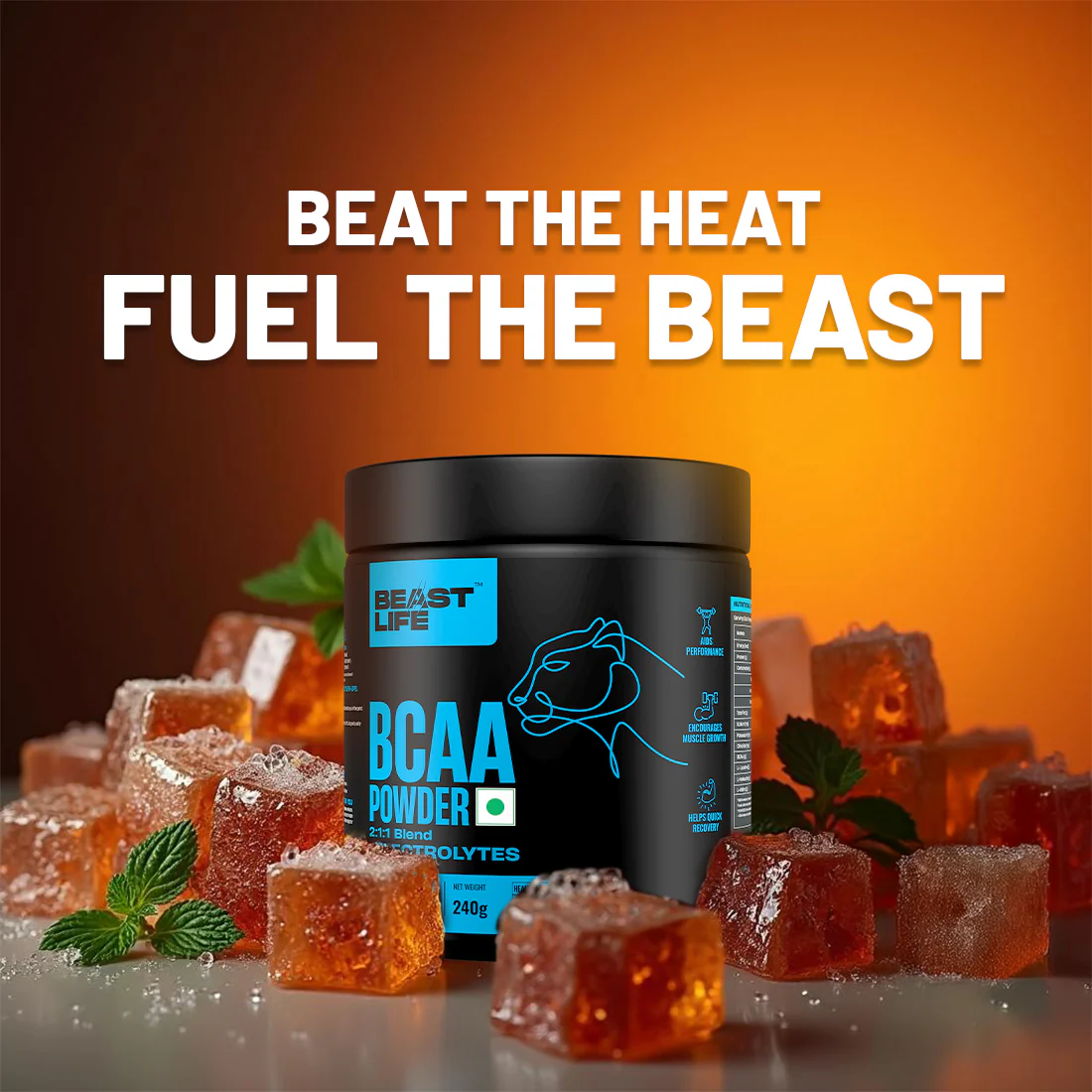 Cola Fizz BCAA with Electrolytes | 240g - Image 6