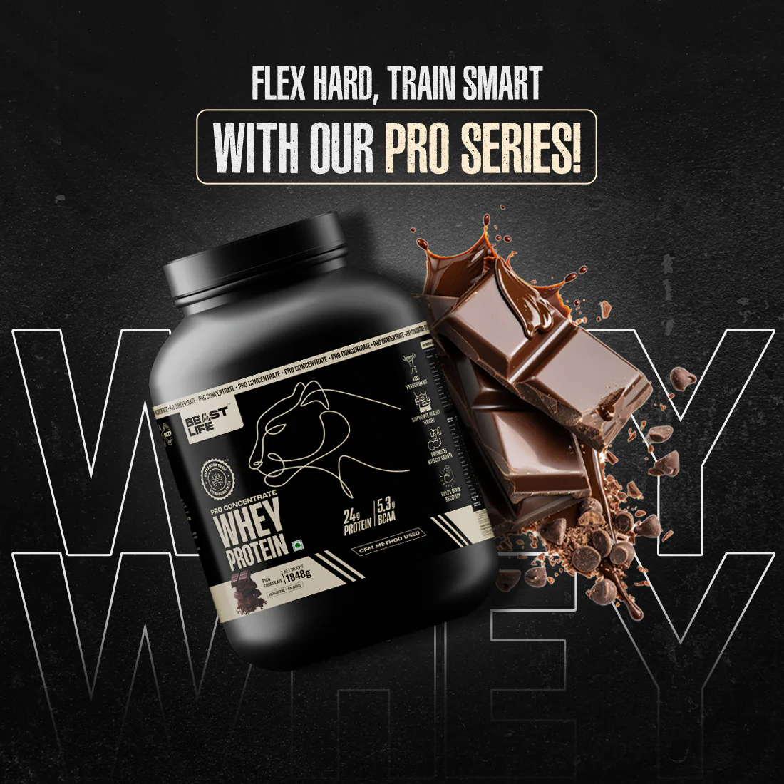 Pro Concentrate Whey Protein with Ultrasorb Tech | Rich Chocolate | 1.848 kg - Image 3