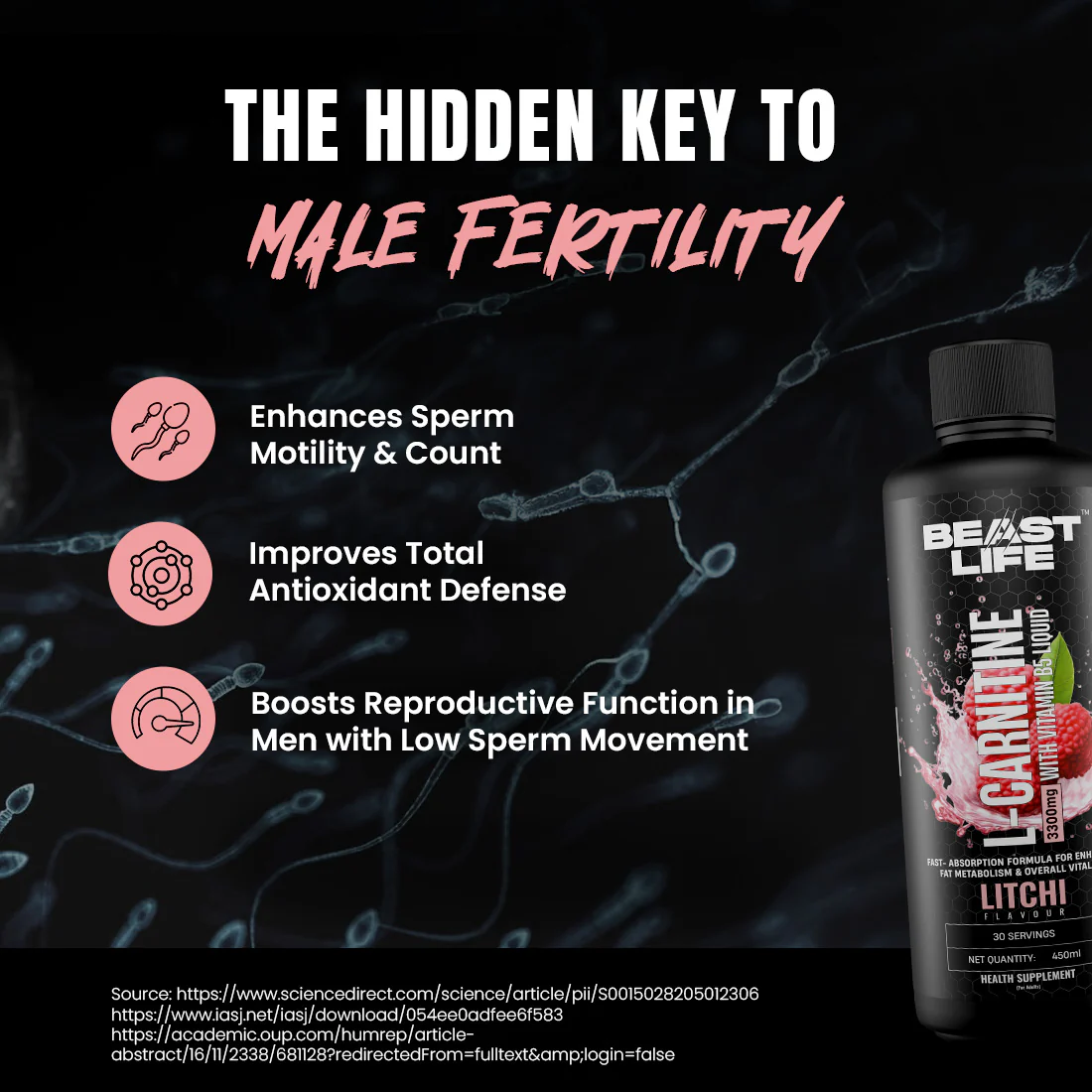 L-Carnitine with Vitamin B5 3300 mg | Triple Strength Formula | Litchi | 450 ml - Image 7