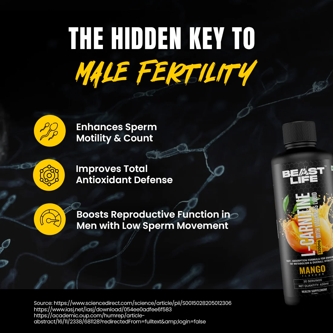 L-Carnitine with Vitamin B5 3300 mg | Triple Strength Formula | Mango | 450 ml - Image 7