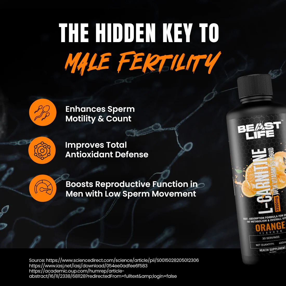 L-Carnitine with Vitamin B5 3300 mg | Triple Strength Formula | Orange | 450 ml - Image 7