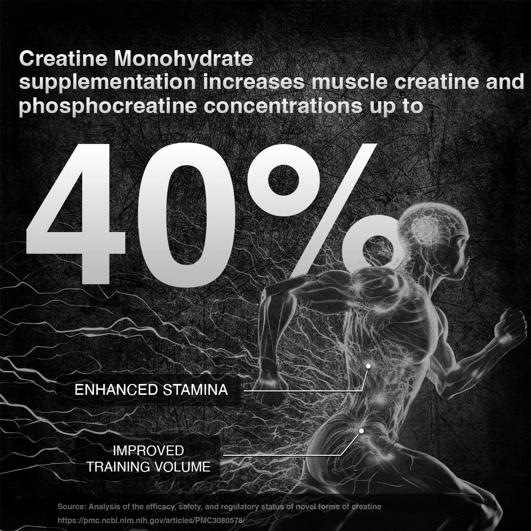 Creatine Monohydrate | Litchi | 500 g - Image 3
