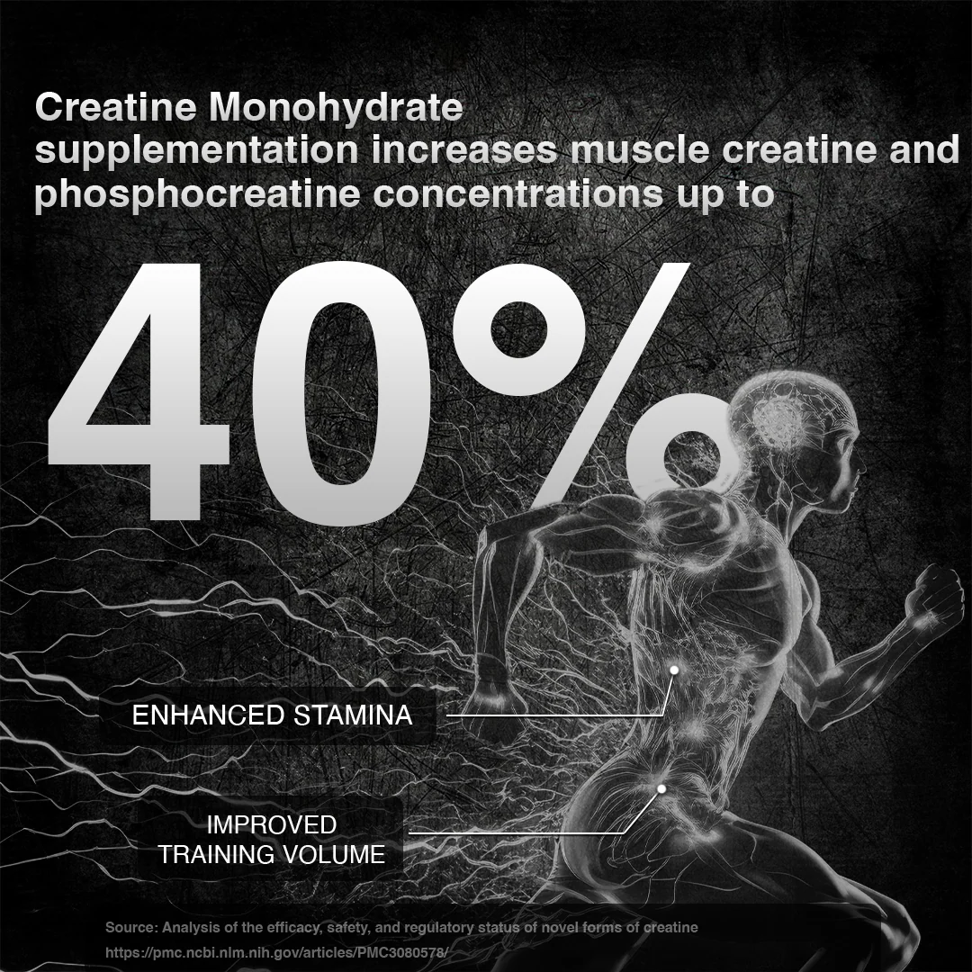 Creatine Monohydrate | Tropical Tango | 500 g - Image 3