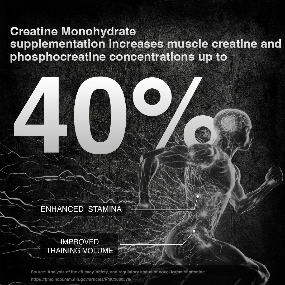 Super Micronized Creatine Monohydrate | 500 g - Image 3