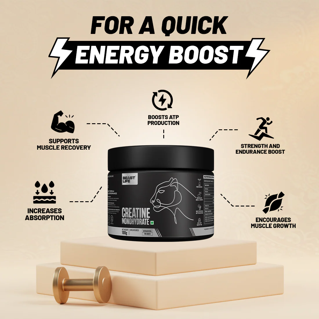 The Beast Box | Pro Whey Protein Rich Chocolate + Creatine Monohydrate + Gym Bag & Shaker - Image 3