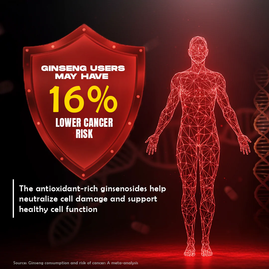 Korean Red Ginseng 400MG with Piper Nigrum Extract 5mg | 30 N - Image 6