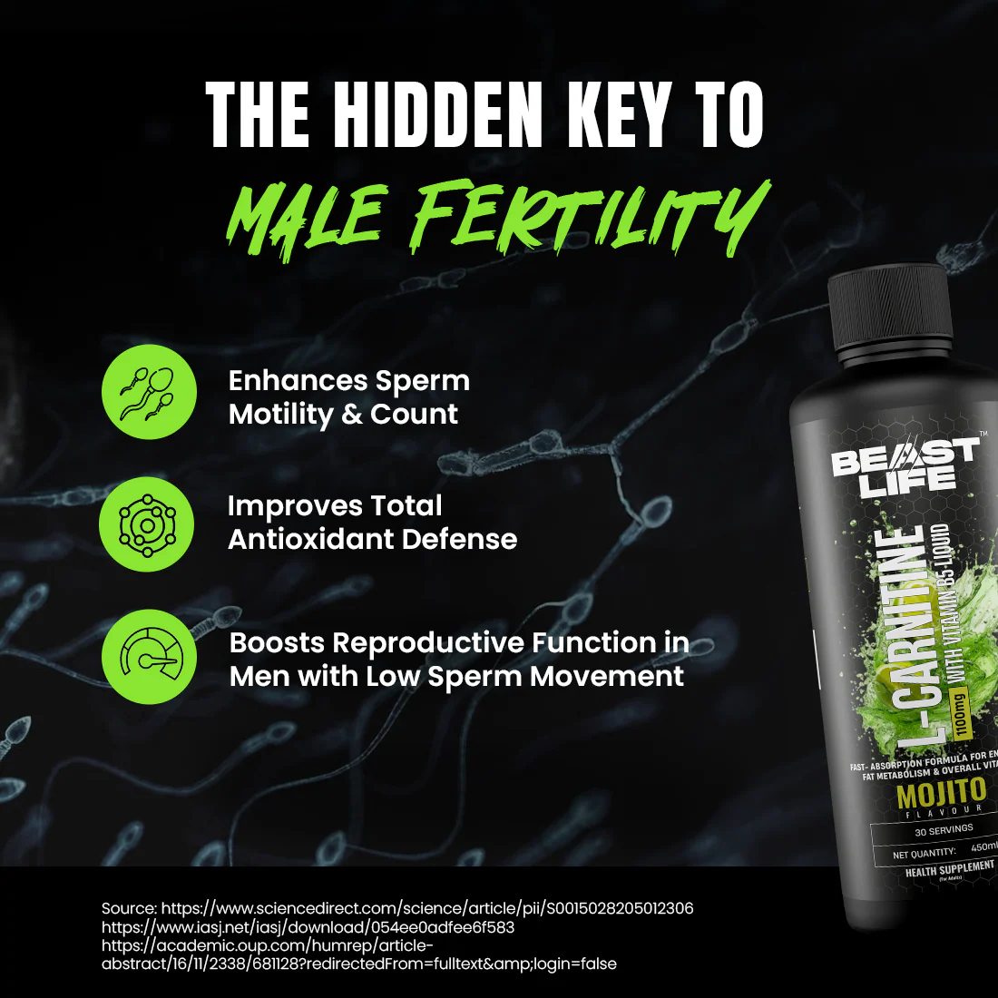 L-Carnitine with Vitamin B5 Liquid 1100 mg | Mojito | 450 ml - Image 7