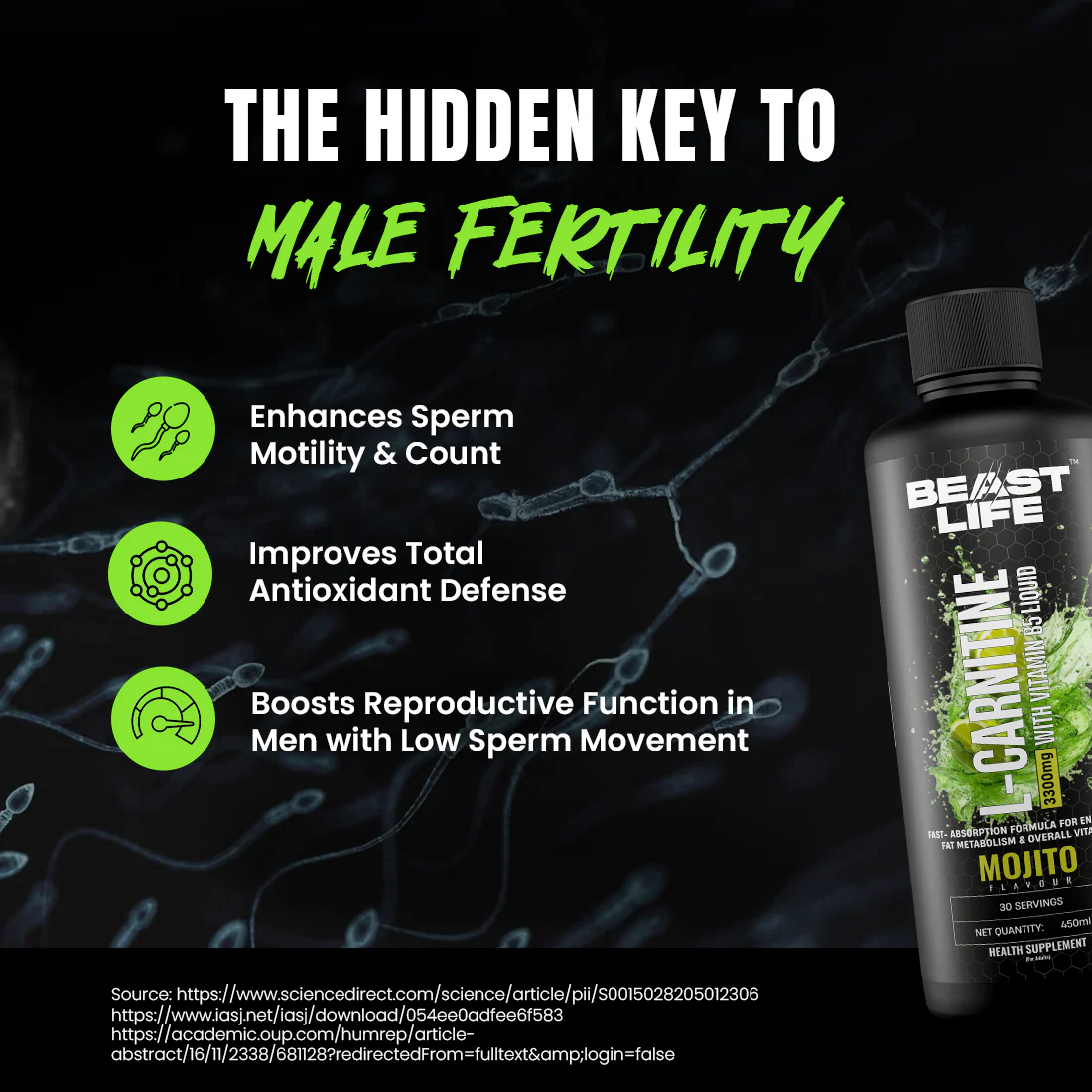 L-Carnitine with Vitamin B5 Liquid 3300 mg | Mojito | 450 ml - Image 7