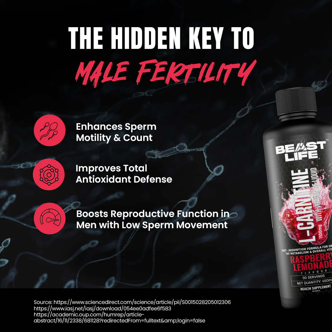 L-Carnitine with Vitamin B5 Liquid 1100 mg | Raspberry Lemonade | 450 ml - Image 7