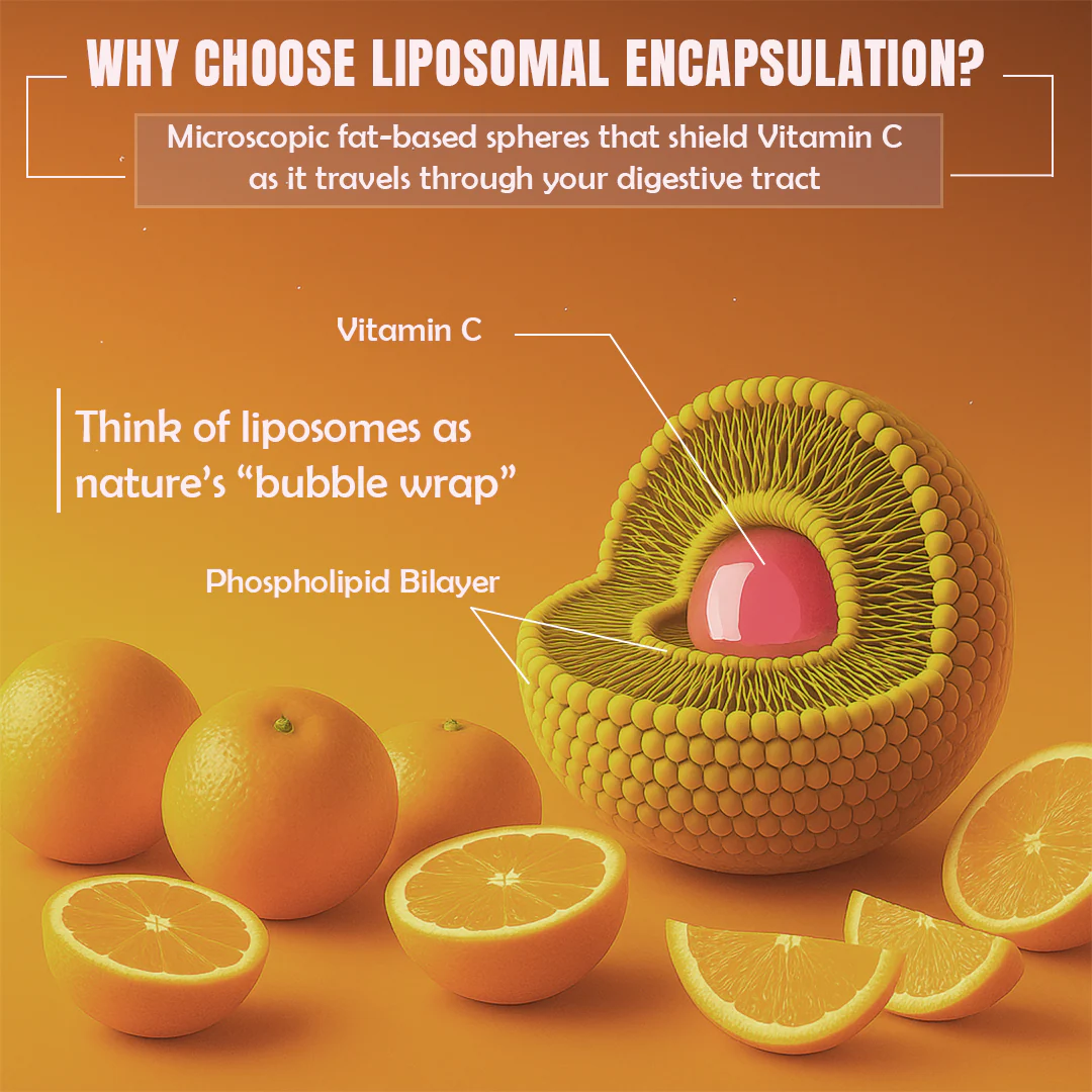 Liposomal Vitamin C | 90 Day Pack - Image 4