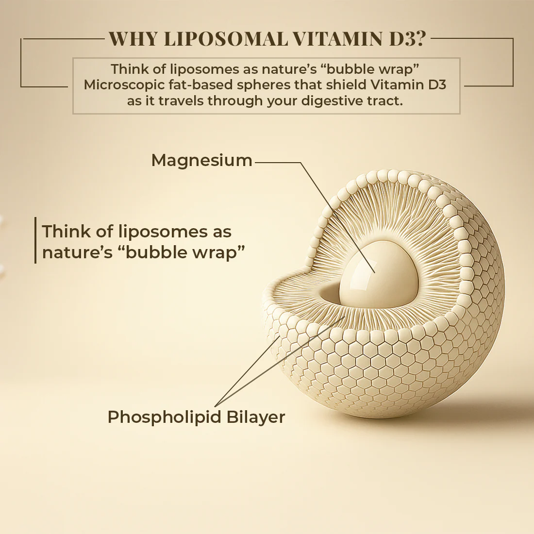 Liposomal Vitamin D3 Capsules | 30 N - Image 6