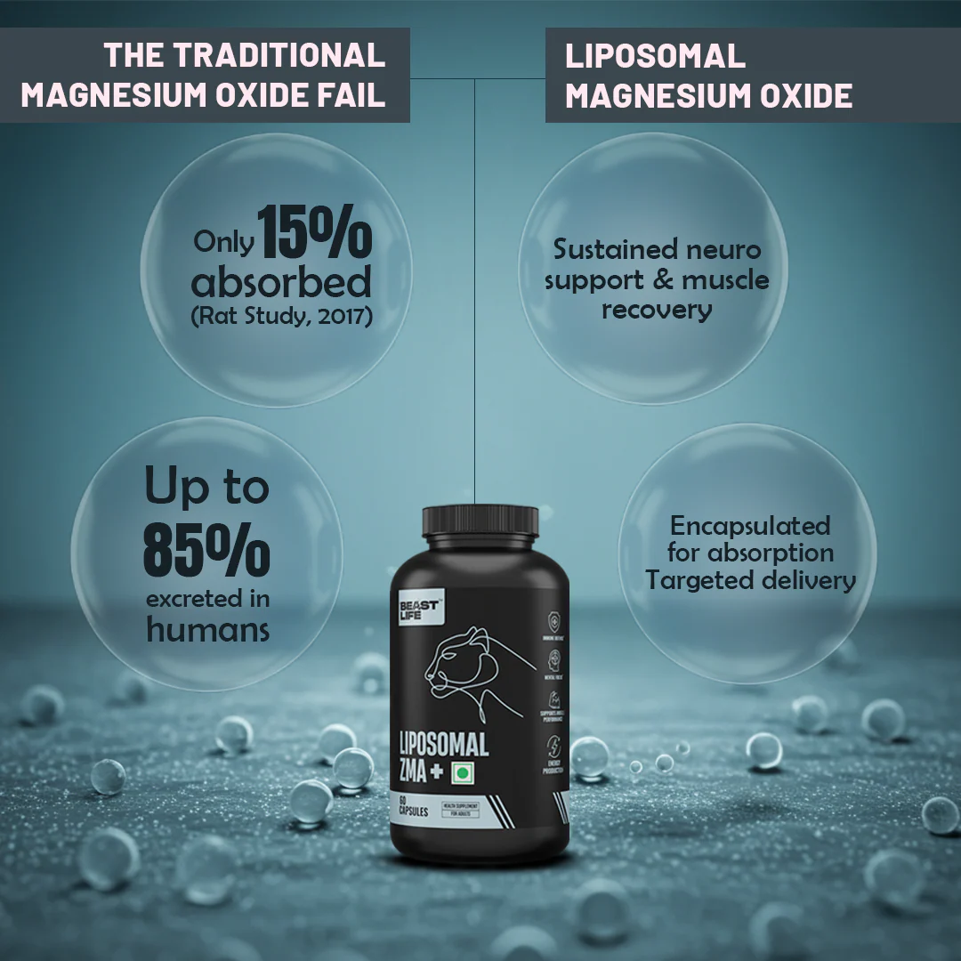 Liposomal ZMA+ | Zinc, Magnesium Complex with Vitamin B6 | 60 N - Image 7