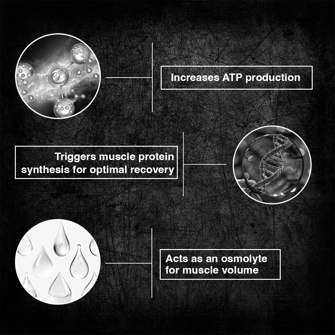 Creatine Monohydrate | Litchi | 125 g - Image 7