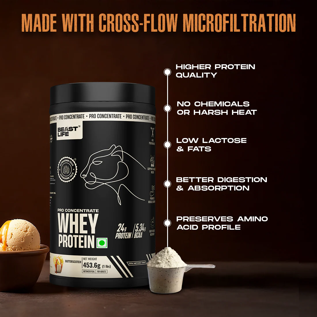 Pro Concentrate Whey Protein with Ultrasorb Tech | Butterscotch | 453.6 g - Image 4