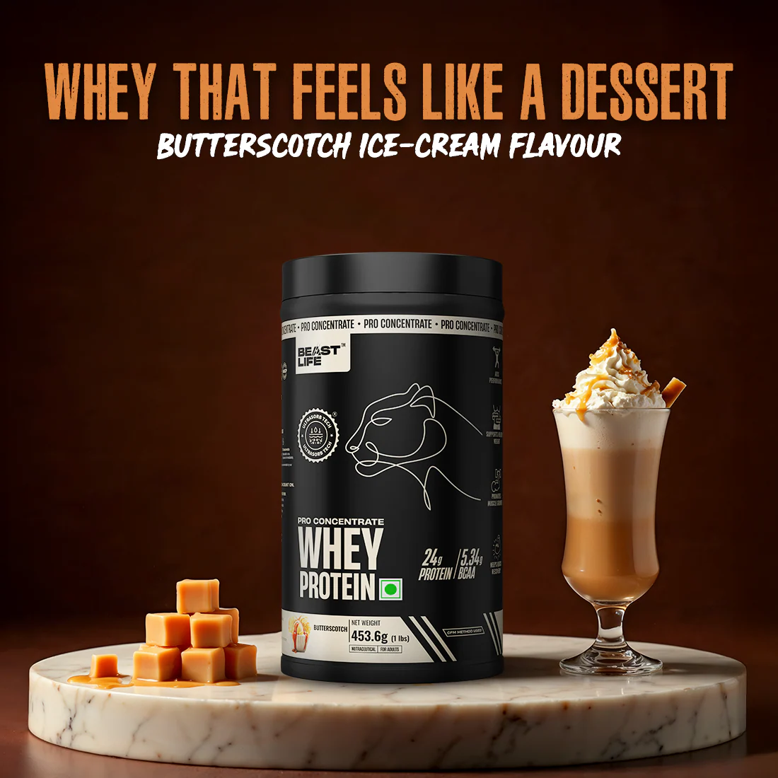 Pro Concentrate Whey Protein with Ultrasorb Tech | Butterscotch | 453.6 g - Image 8