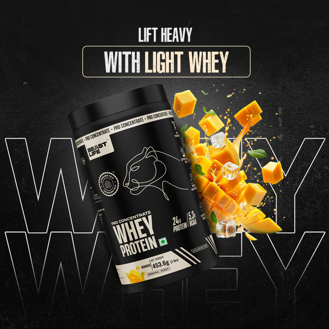 Pro Concentrate Whey Protein with Ultrasorb Tech | Mango | 453.6 g - Image 3