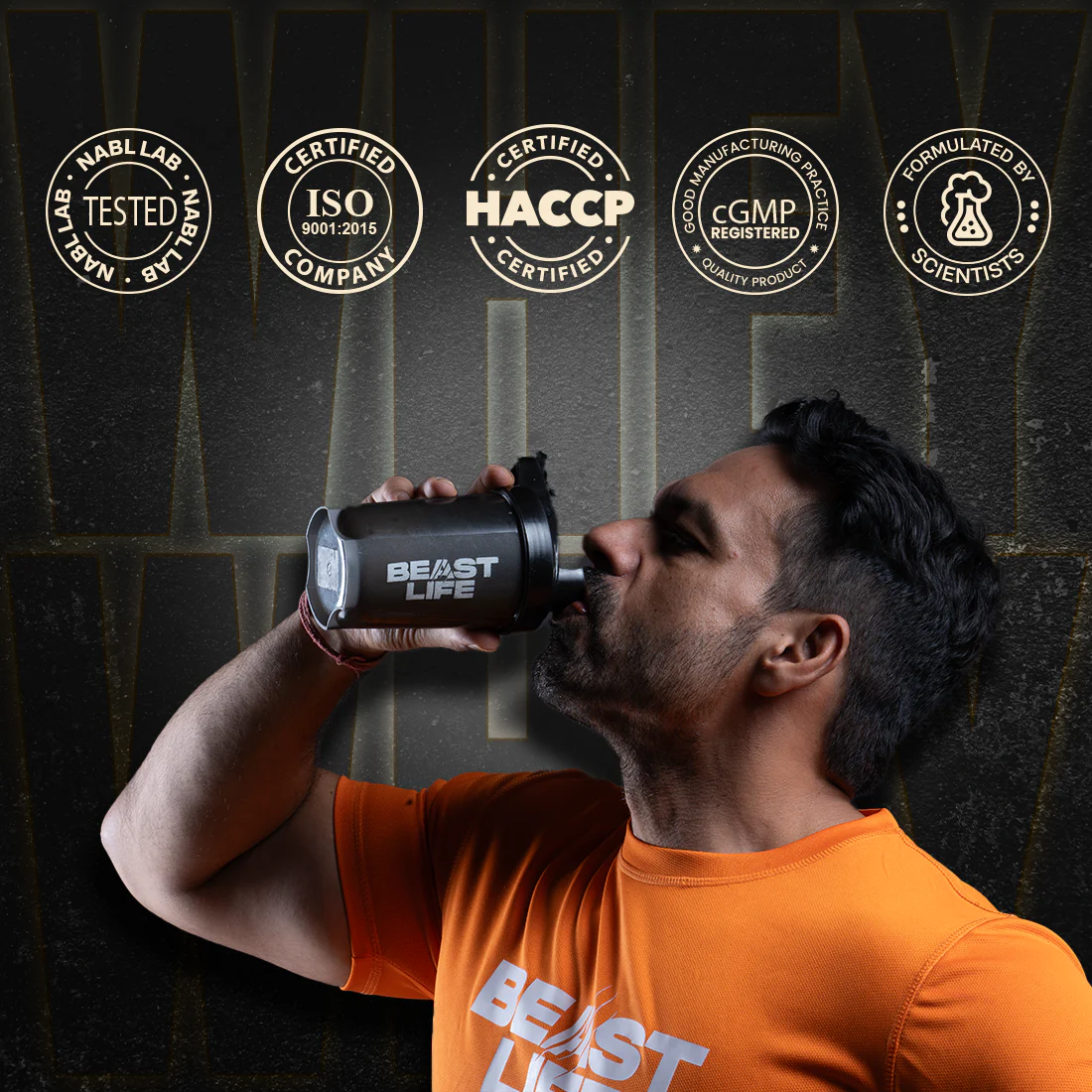 Pro Concentrate Whey Protein with Ultrasorb Tech | Mango | 453.6 g - Image 6