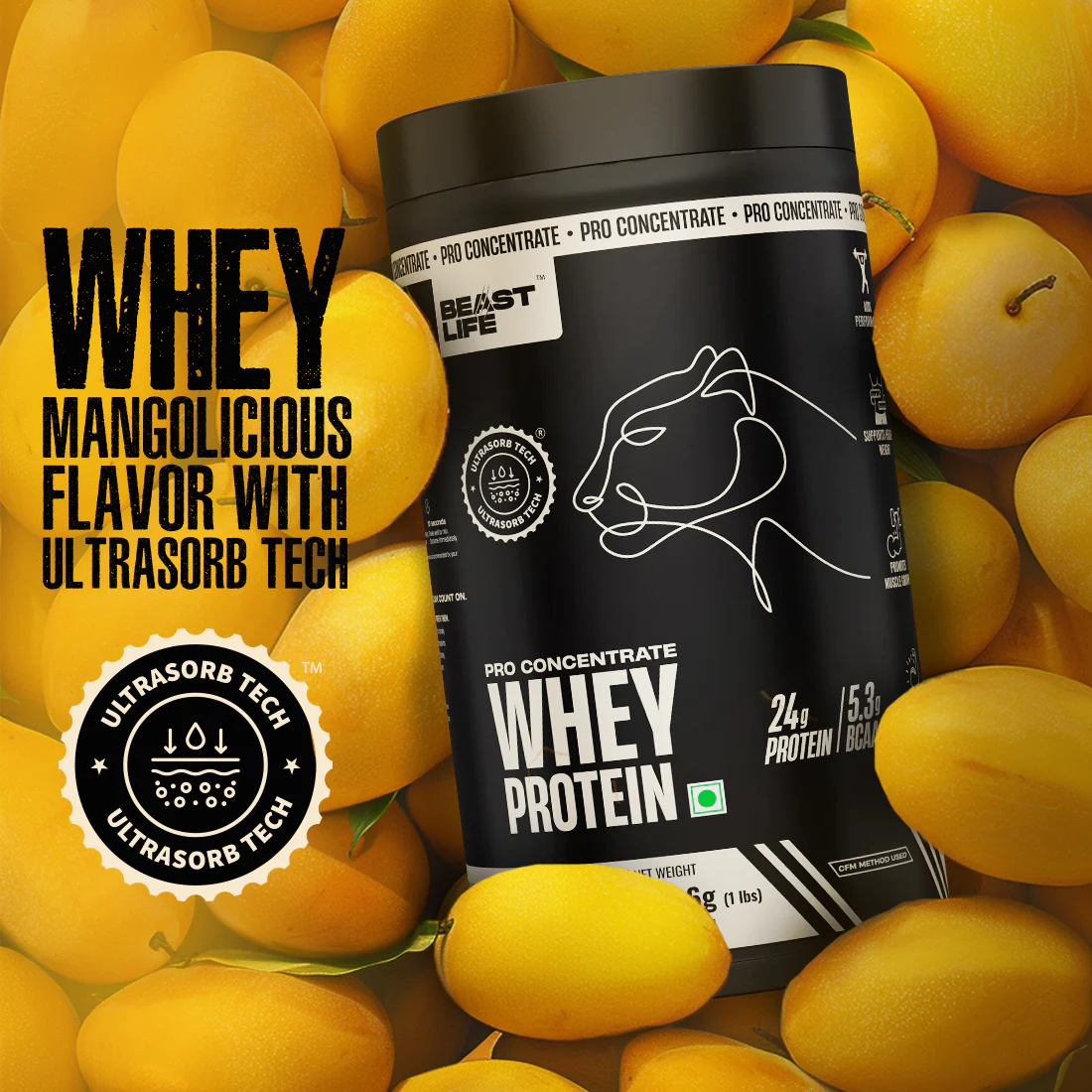 Pro Concentrate Whey Protein with Ultrasorb Tech | Mango | 453.6 g - Image 7