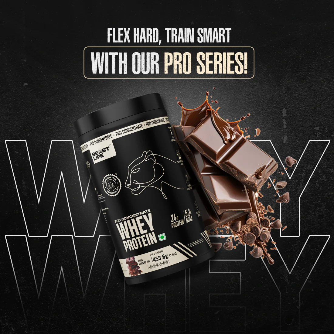 Pro Concentrate Whey Protein with Ultrasorb Tech | Rich Chocolate | 454 g - Image 3