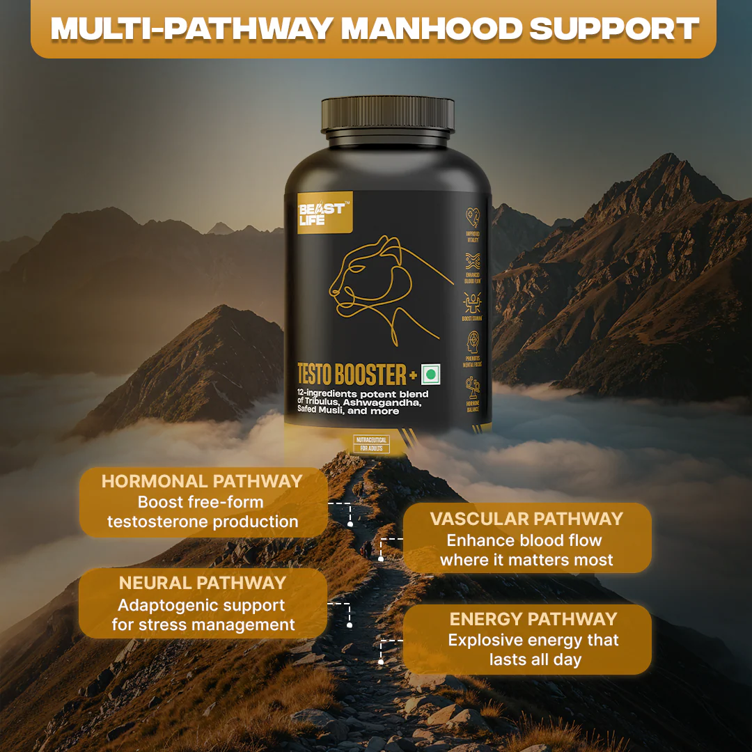 TESTO BOOSTER+ CAPSULES | 60 N - Image 6