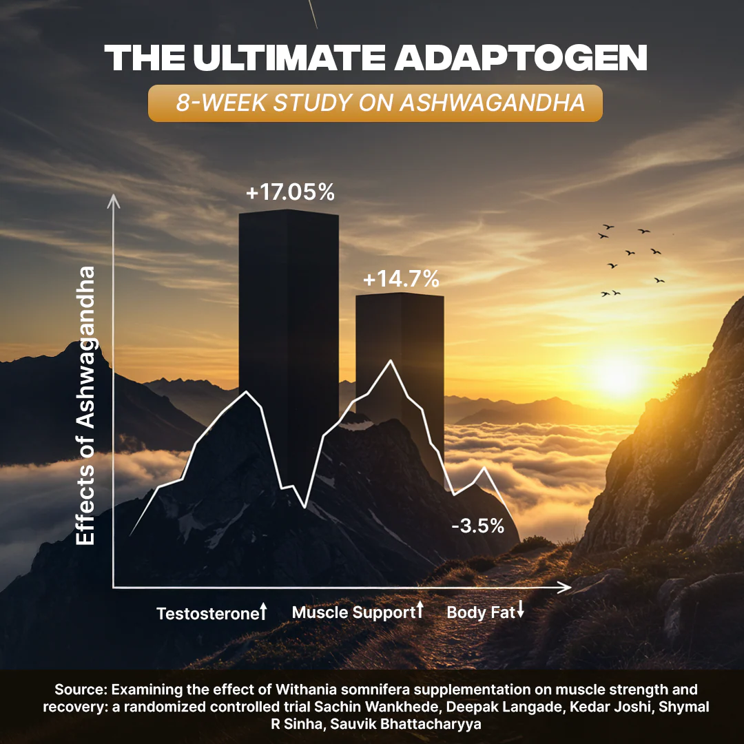 TESTO BOOSTER+ CAPSULES | 90 Day Pack - Image 8