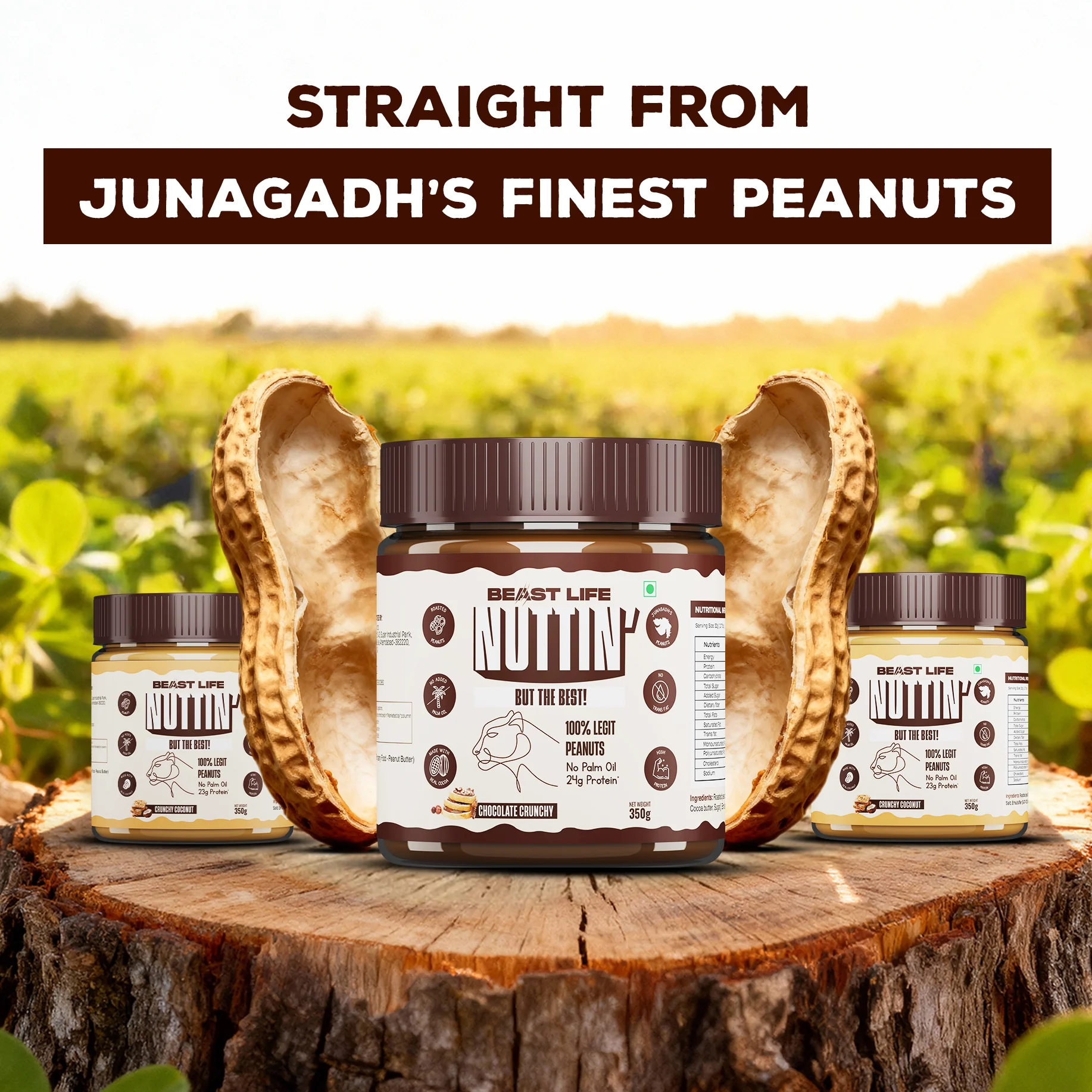 The Crunch & Cream Box | Peanut Butter | 4 Flavours - Image 5