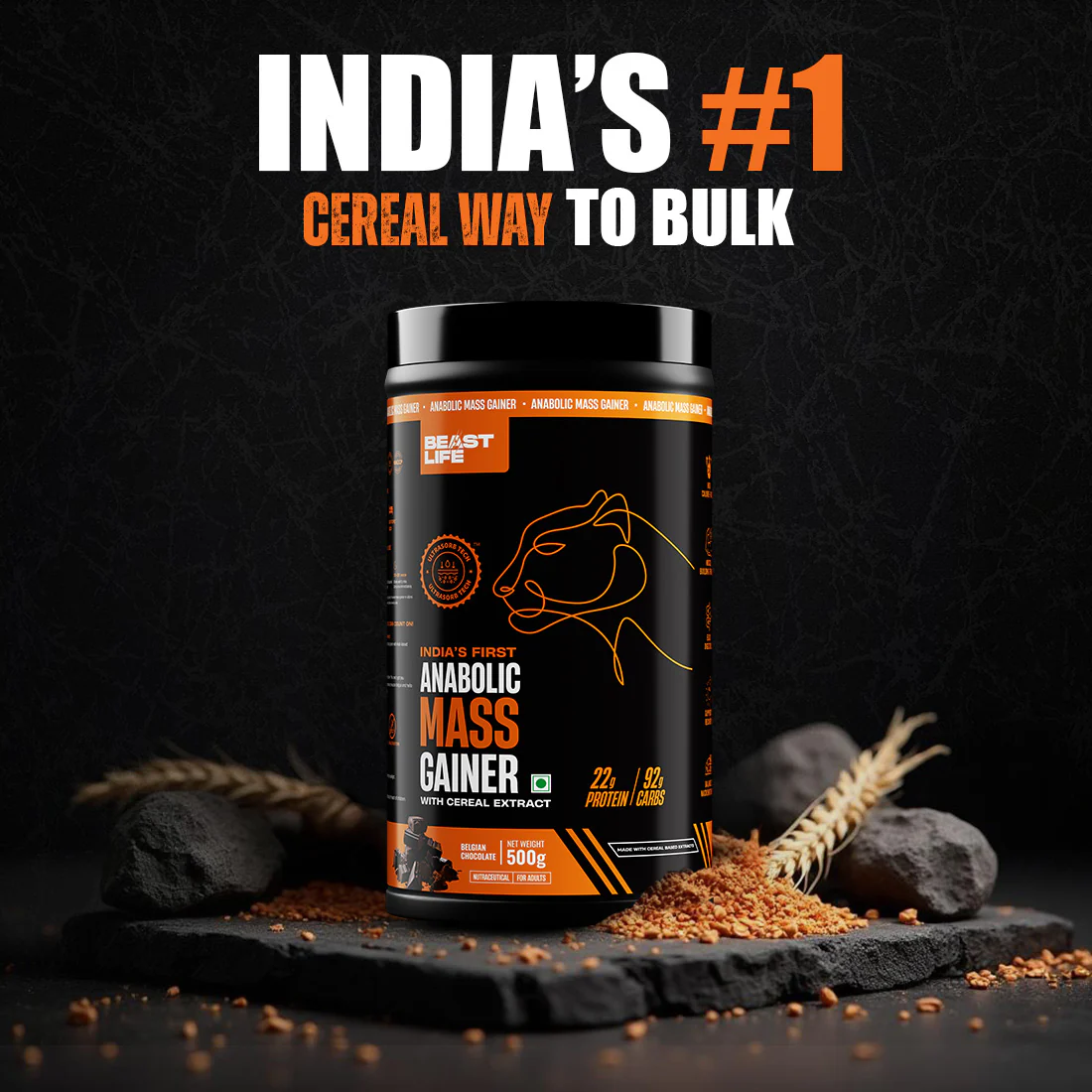 THE GAIN TRAIN EXPRESS | Gainer 500g + Creatine 100 g - Image 4