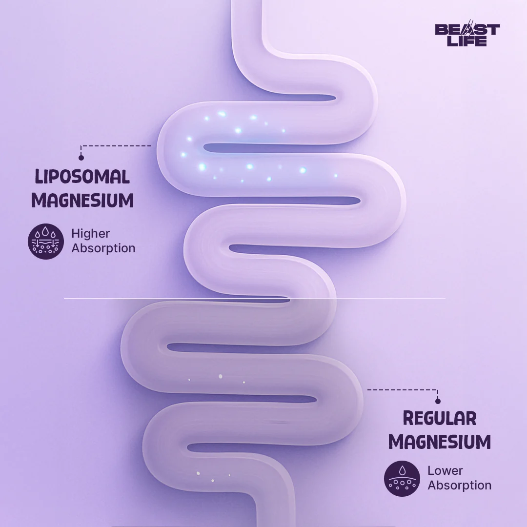 Liposomal Triple Magnesium+ | 60 N - Image 9